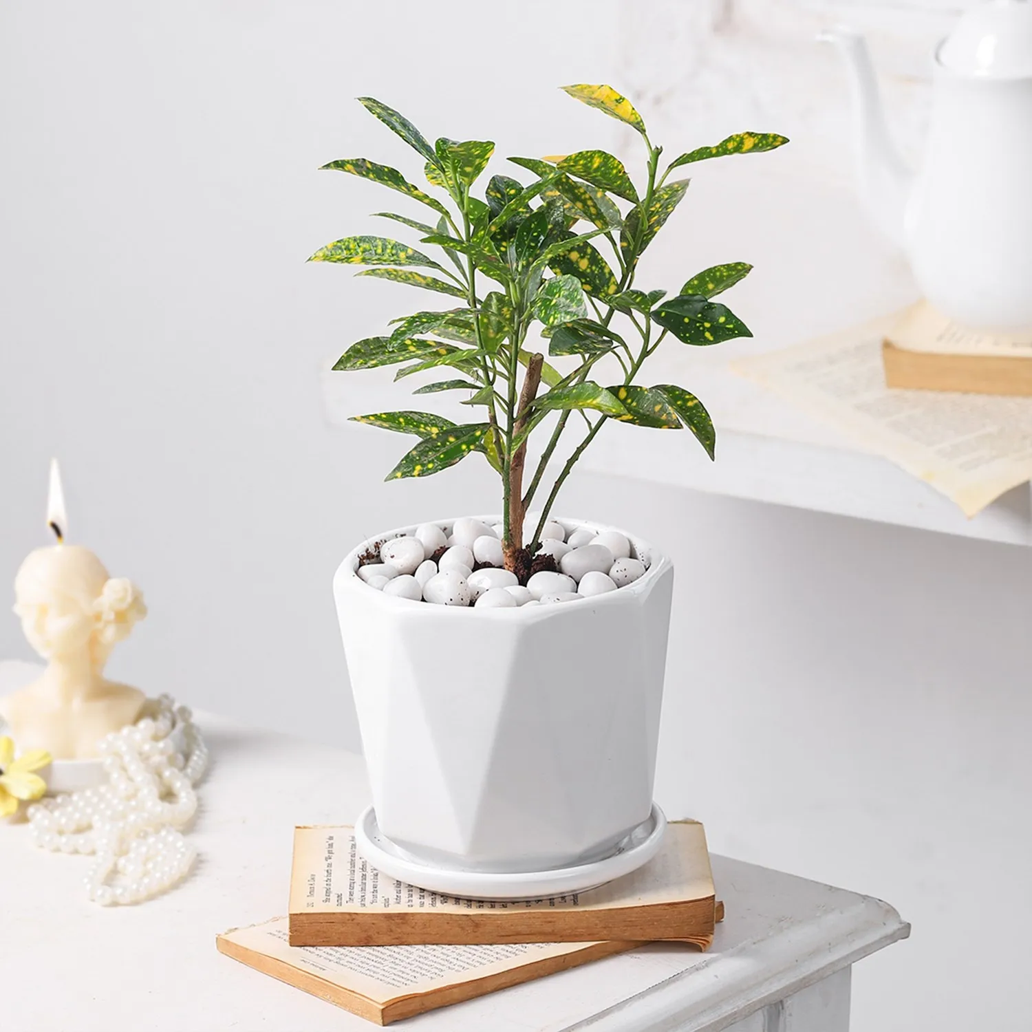 Fortune Unfurling - India