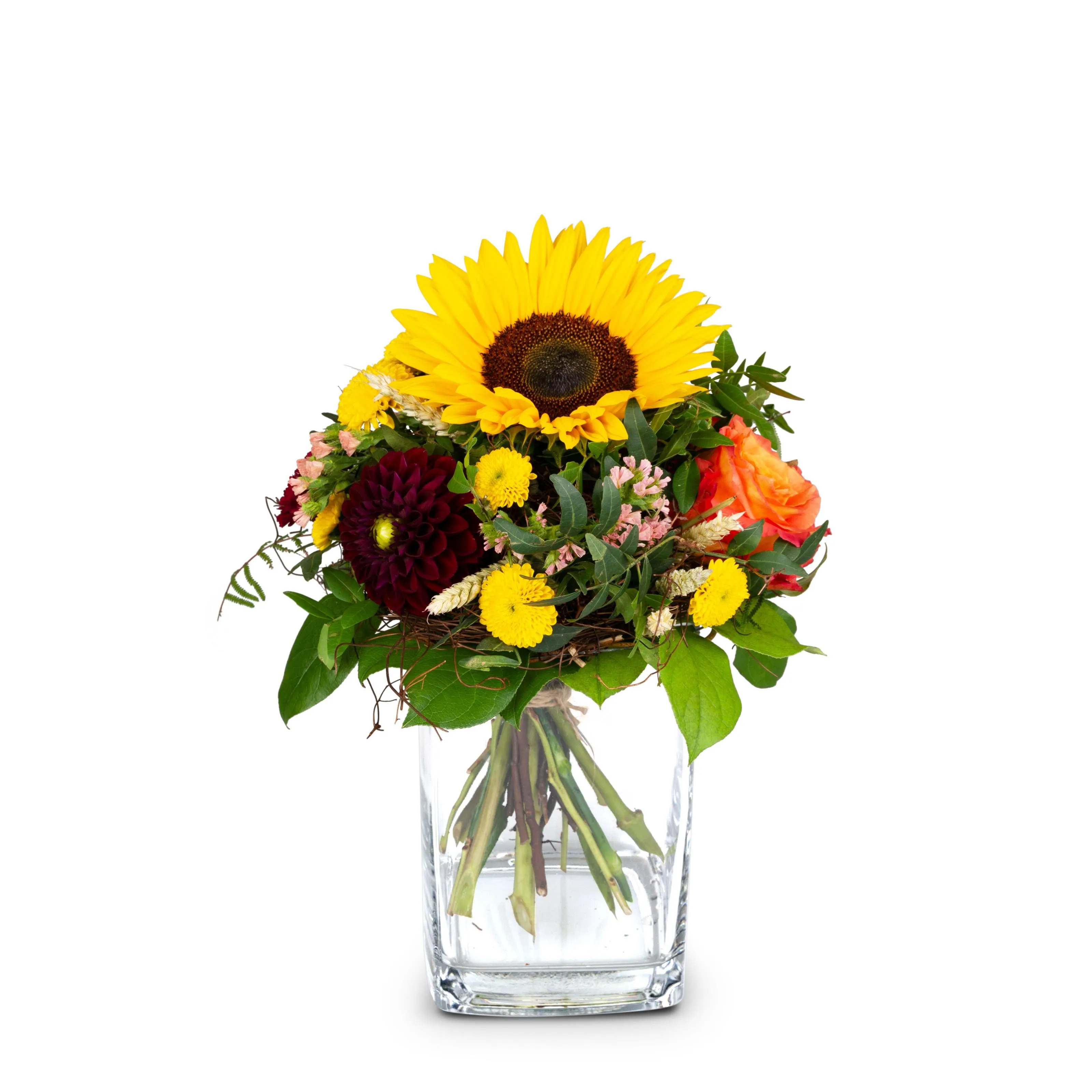 Top of Summer - Switzerland