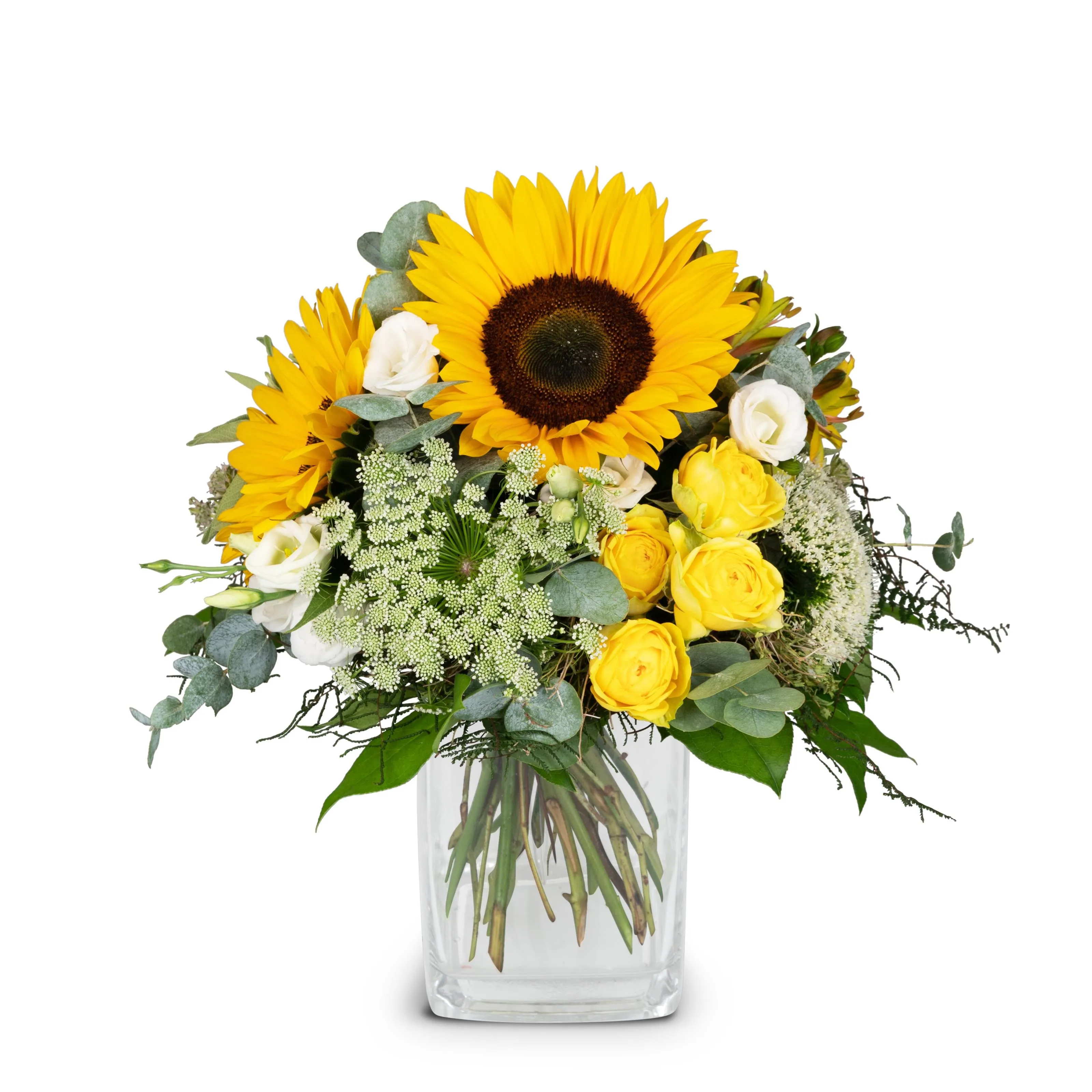 Summerdream - Switzerland