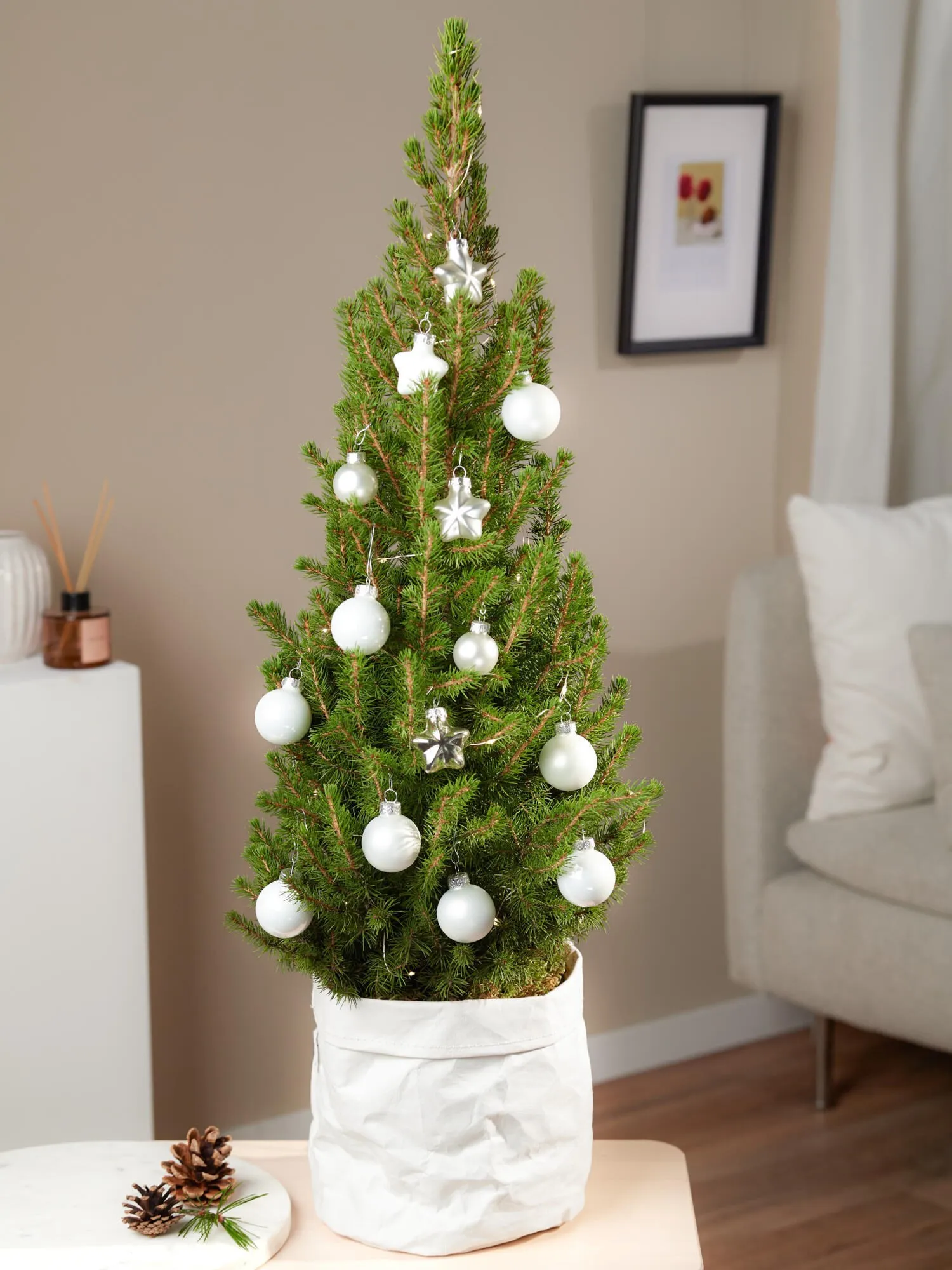 Christmas Shine - Germany