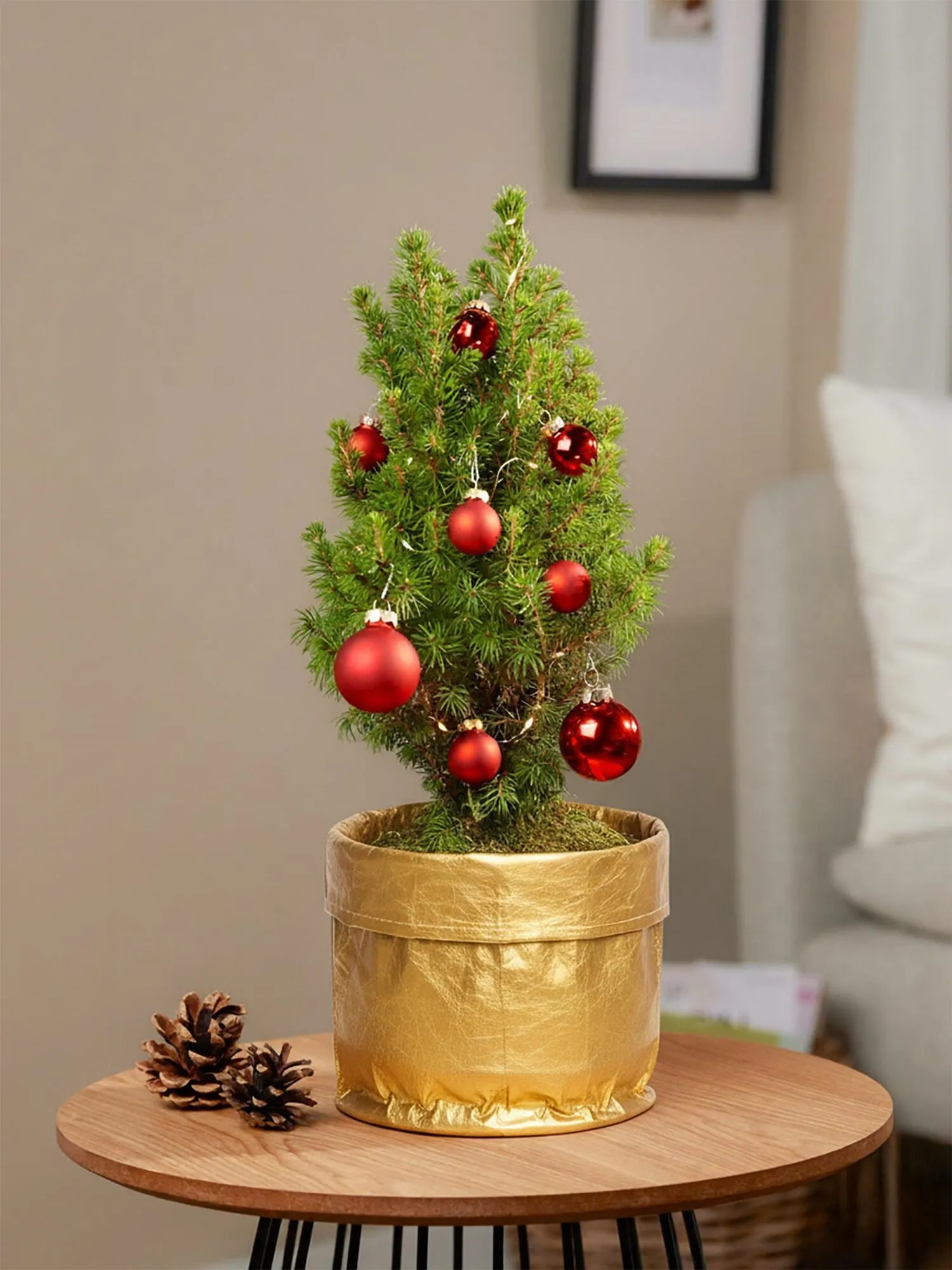 Magical Christmas Greetings - Germany