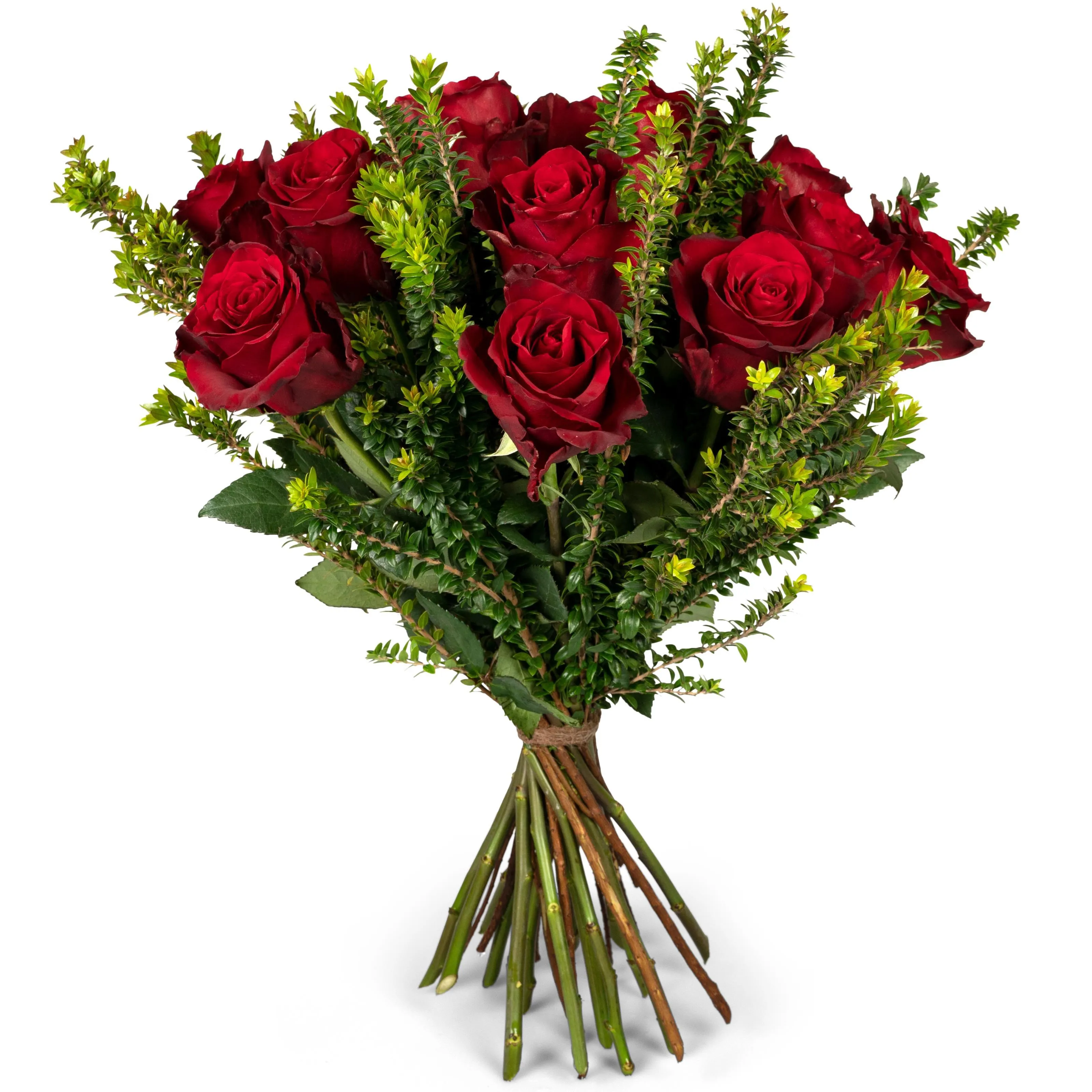 Zapamiętany na zawsze