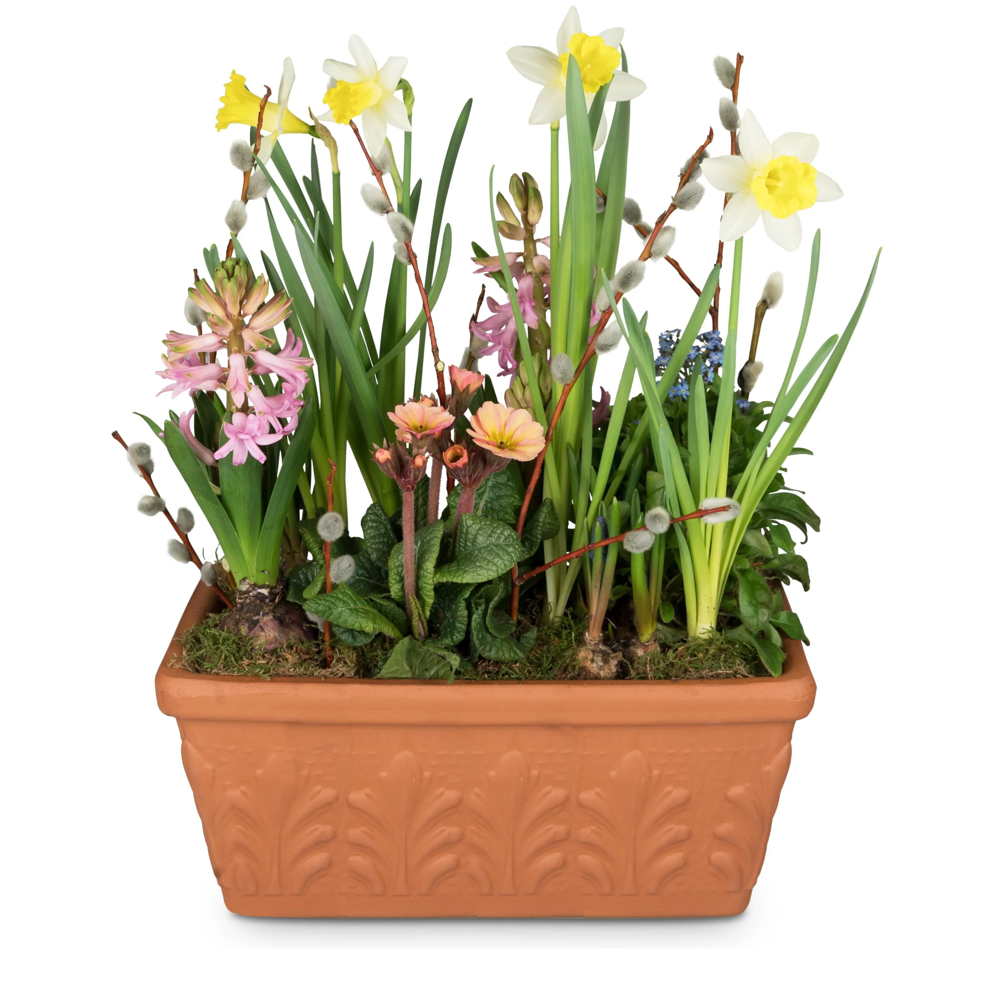 Plant Pot Cheerful Little Spring Garden