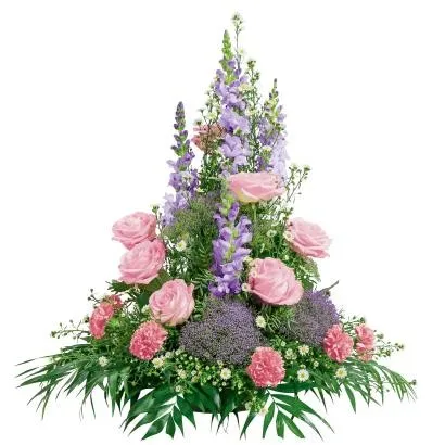 Elegancja różowa