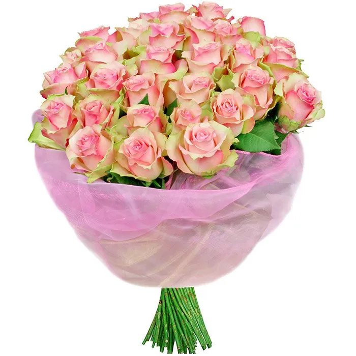 Bouquet aurora, bouquet of roses, 30 pink roses, bouquet with pink organza