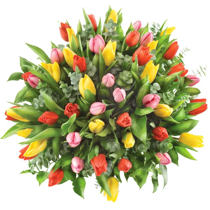 Coloured tulips in a bouquet, Flowers of 50 coloured tulips