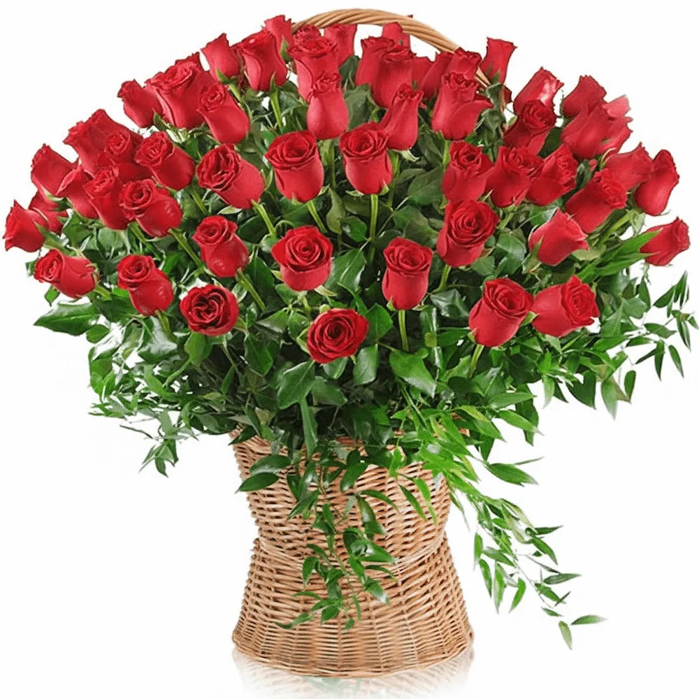 100 red roses in a basket with a ribbon, 100 roses in a basket, a basket with red roses arranged cascadingly