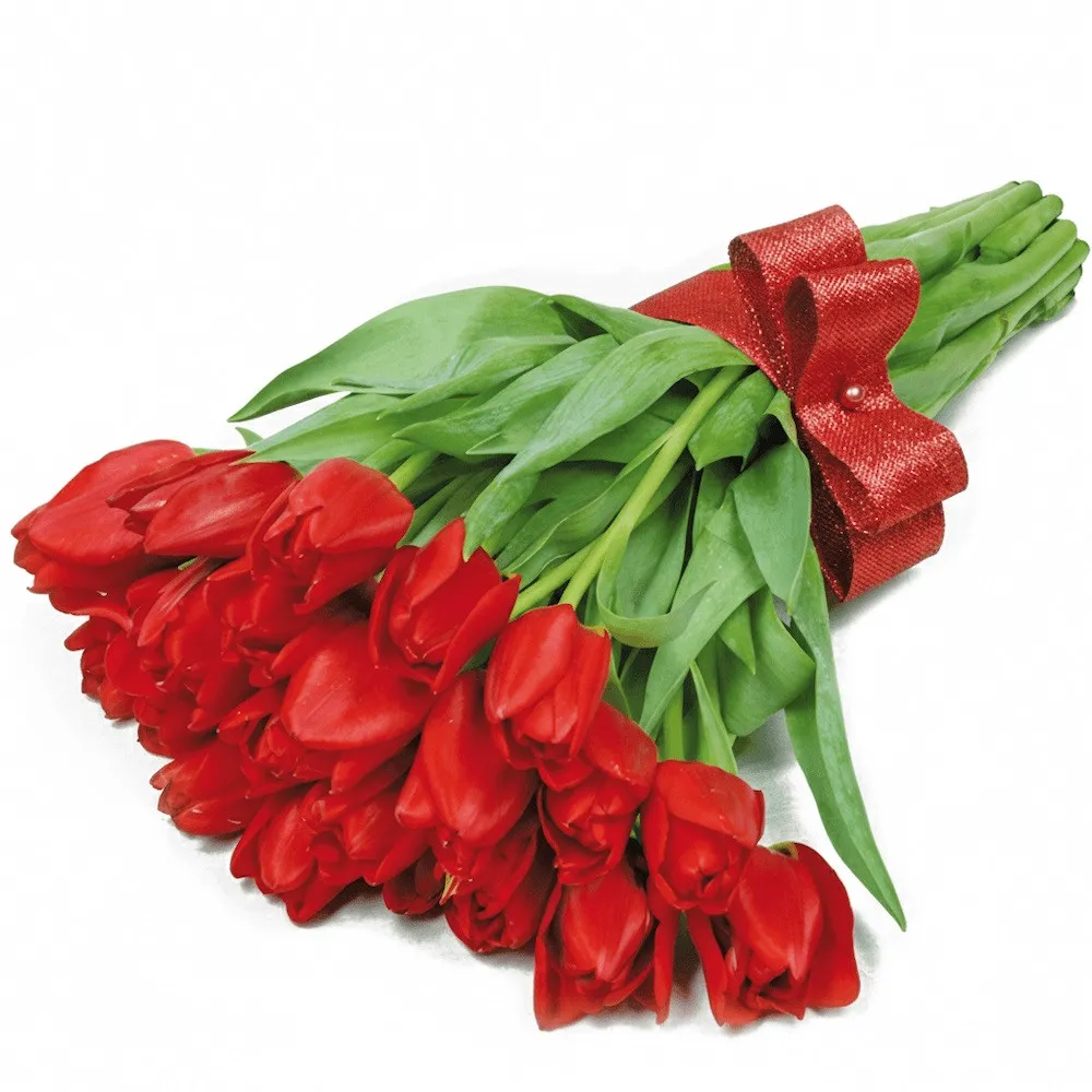 A bouquet of 21 red tulips with a ribbon, Flowers Cupid