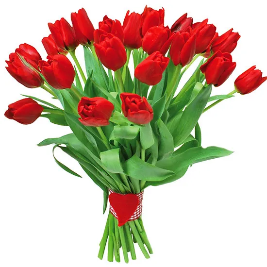 Bukiet czerwonych tulipanów ze wstążką, Bukiet płomienie miłości