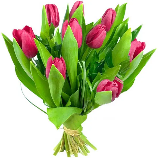 9 różowych tulipanów w bukiecie, Bukiet 9 różowych tulipanów