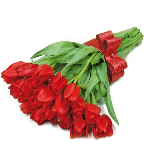 A bouquet of 21 red tulips with a ribbon, Flowers Cupid