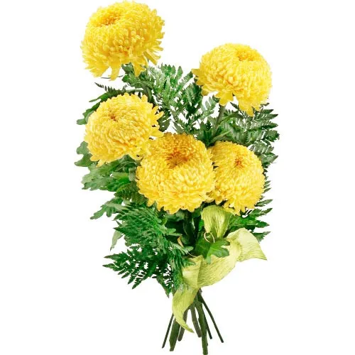 Flowers - chrysanthemum, golden chrysanthemum, chrysanthemum and swedish fern bouquets