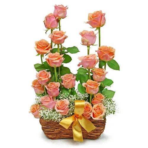 Composition Rose garden, 21 orange roses in a basket arranged in a cascade, composition of roses and gypsophila 