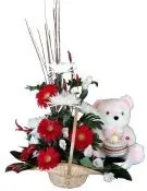 Basket for Baby - Israel