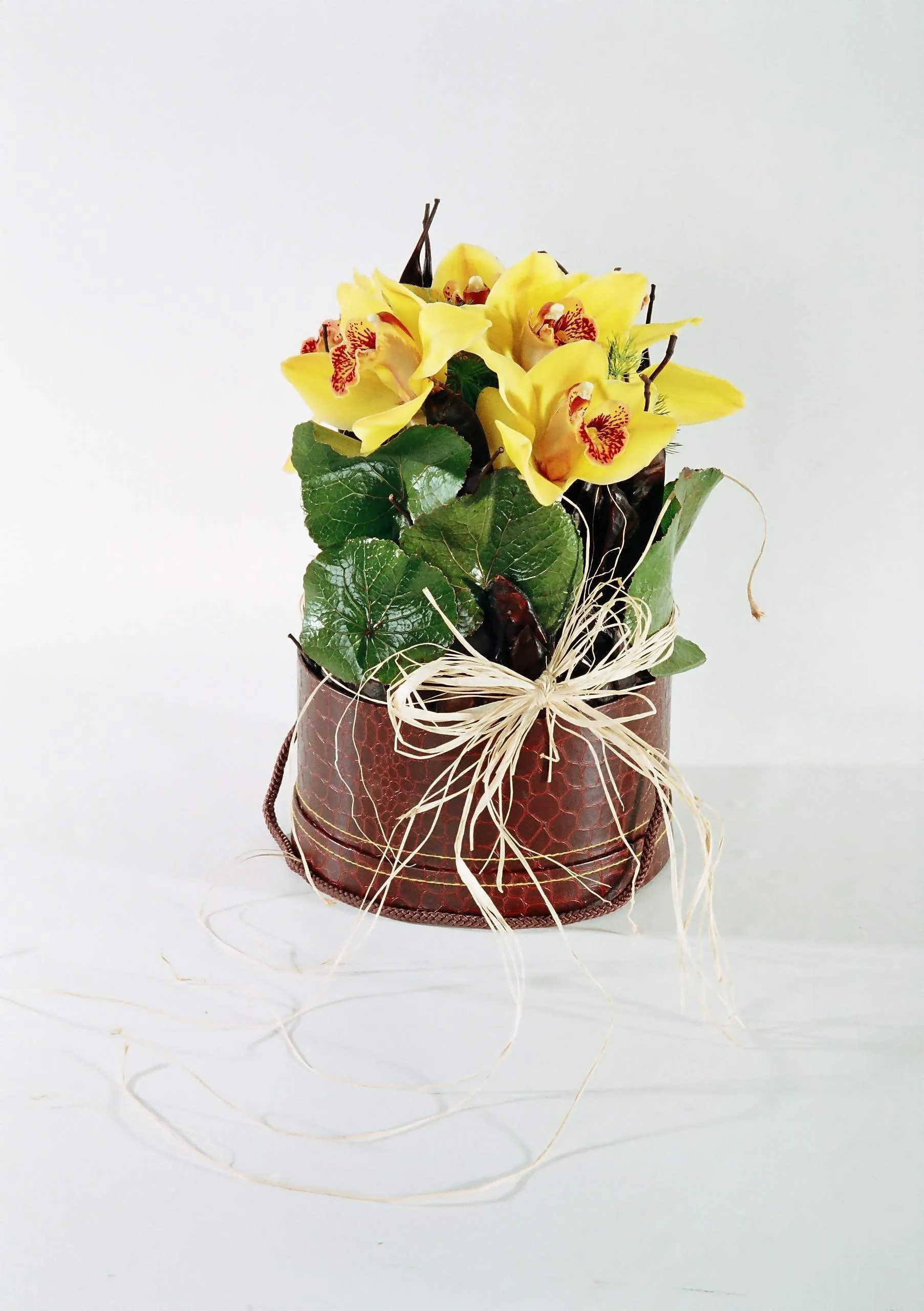 Orchidee z dekoracją w pudełku