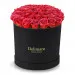 Flowerbox w 4 h