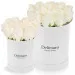 White roses in a white box