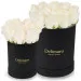 White roses in a black box