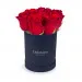 Czerwone róże w granatowym pudełku