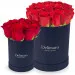 Czerwone róże w granatowym pudełku