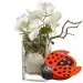 Best of Luck ... with chocolate ladybird