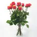 12 tea roses