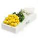12 yellow roses