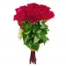 12 roses short stemmed