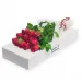12 red roses