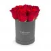 Red roses in a gray box