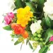 A bouquet of colourful freesias