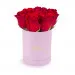 Red roses in a pink box