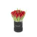 Czerwone tulipany w czarnym pudełku
