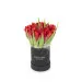 Red tulips in a black box