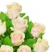 Kwiaty Blask Poranka