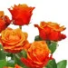 Happy birthday boquet