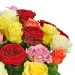 A bouquet of colourful roses