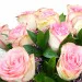 Blush bouquet