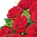 Rubine bouquet