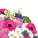 Fairytale Flowers
