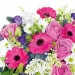 Fairytale Flowers