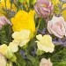 Sunny Cup bouquet