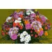 Bouquet of Mixed Cut Flowers