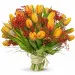 A bouquet of cordial tulips