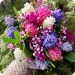 Colourful hyacinths