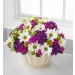 Blooming Bounty Bouquet - Basket Included