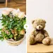 Coin de paradis et son ourson Harry