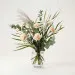 Dreamy Carnation