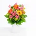 Sunny Birthday Greetings
