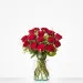 Lovely red roses